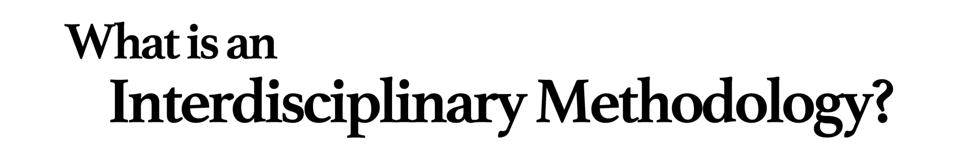 What is an Interdisciplinary Methodology?